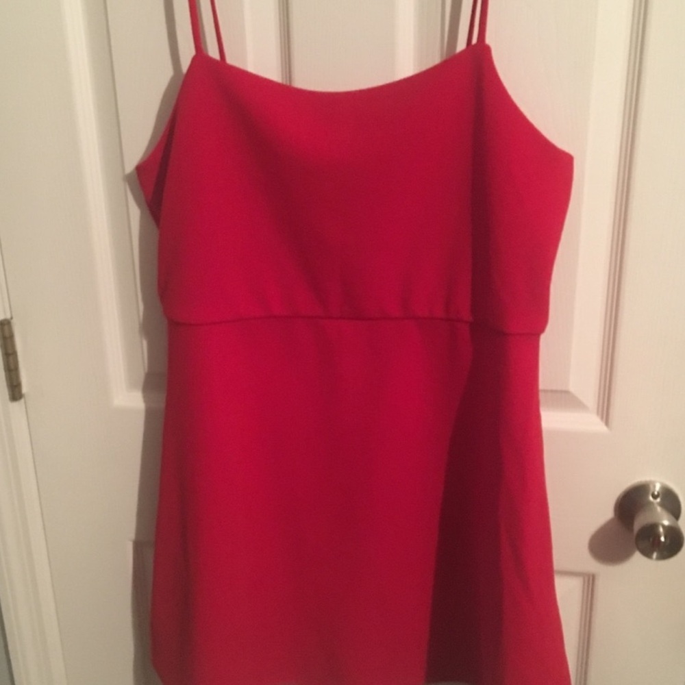 Wild Fable Red Mini Dress